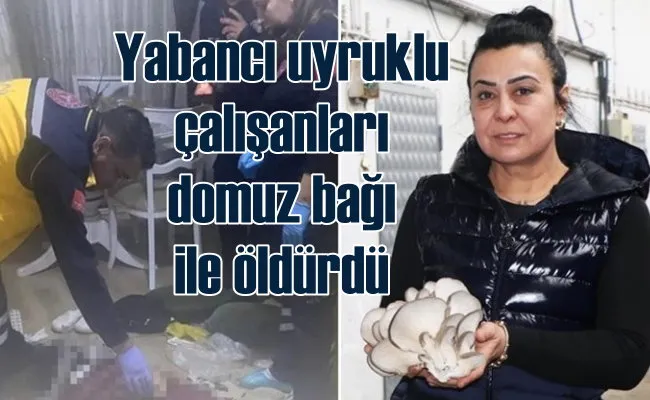 Canan Cerit cinayeti | Yabancı uyruklu çalışanları katletti