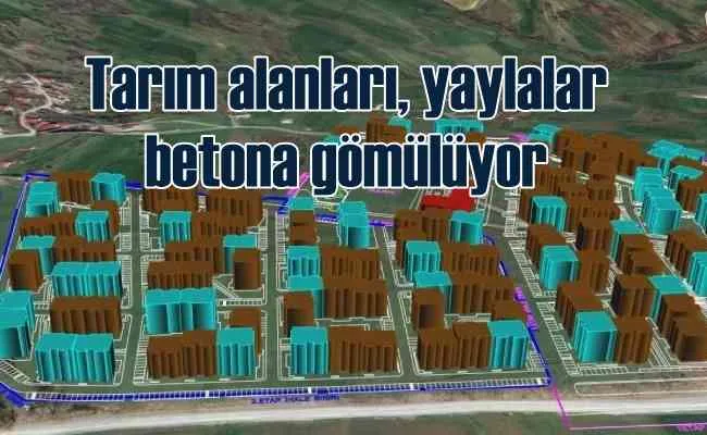 Tarım alanları ve yaylalar betona gömülüyor