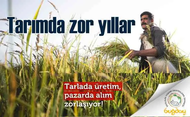 Tarlada Üretim, Pazarda Alım Zorlaşıyor