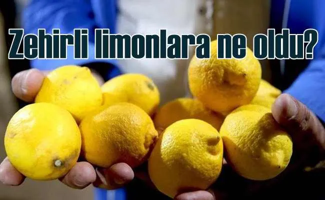 Zehirli limonlar gümrükten döndü, akıbeti belli  değil