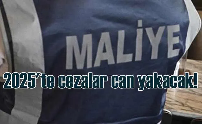 Hazine kasaları, vatandaşa yazılan cezalarla dolacak