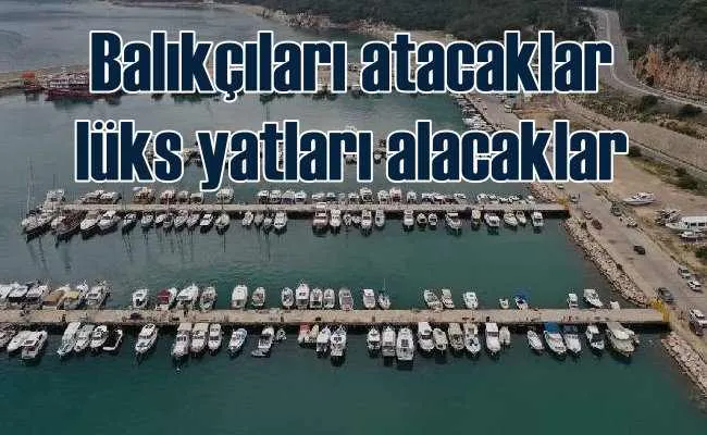 Balıkçı barınağı turizmcilere peşkeş çekiliyor