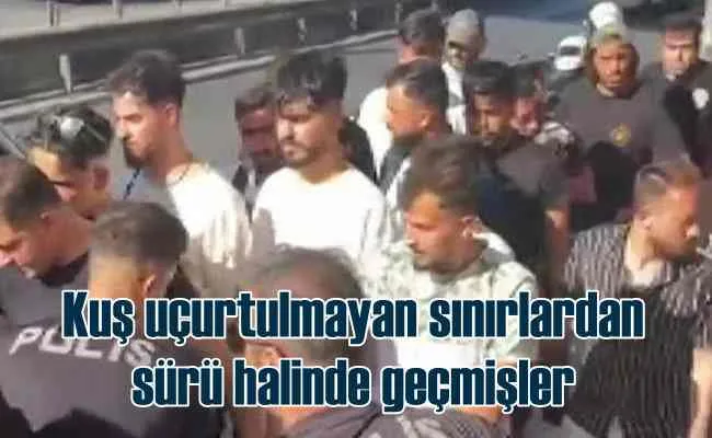 Sürü halinde sınırı geçmişler | Metrobüs durağında yakalandılar