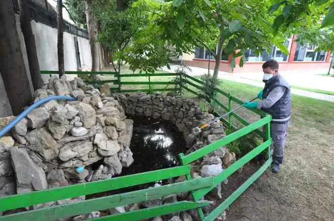 İBB sivrisineklerle mücadele çalışmalarını yoğunlaştırdı