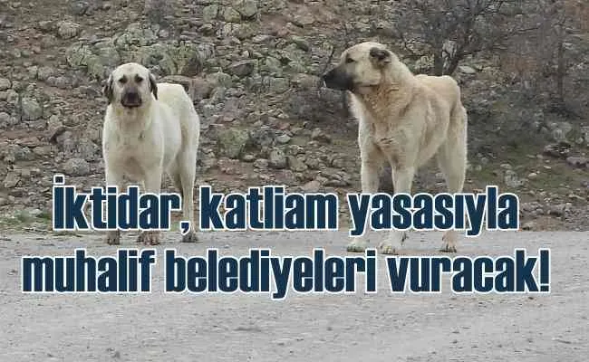 Katliam yasası AKP ve MHP oylarıyla kabul edildi