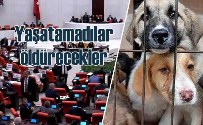 Katliam yasası meclisten geçti | Yaşatamadılar öldürecekler