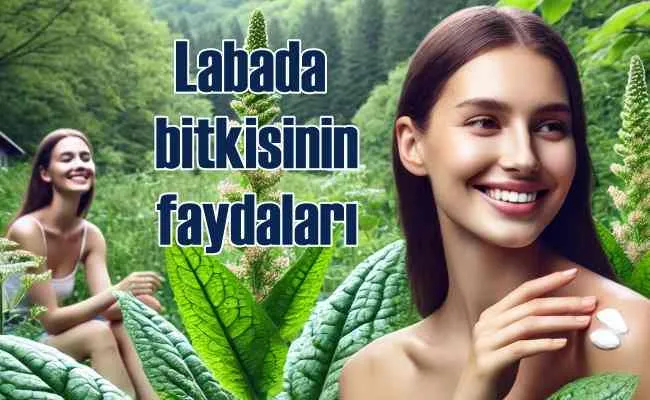 Labada Otunun Faydaları Nelerdir?