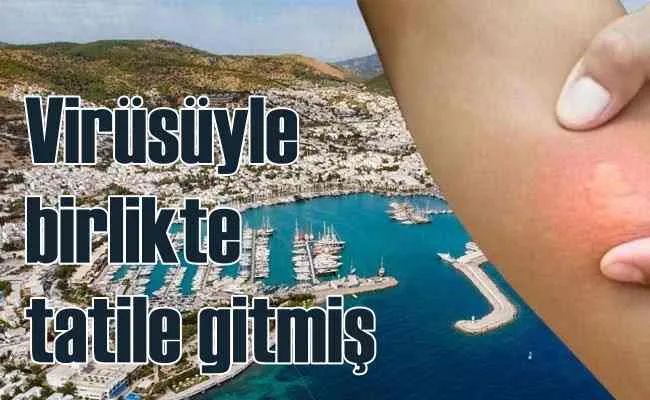 Batı Nil Virislü hasta Bodrum