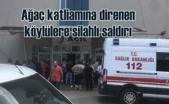 Ağaç katliamına direnenlere silahlı saldırı