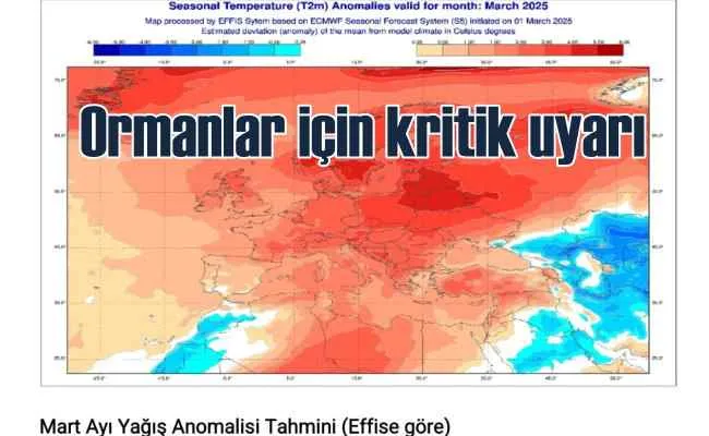 OGM: Orman Yangını Riski Kapıda!