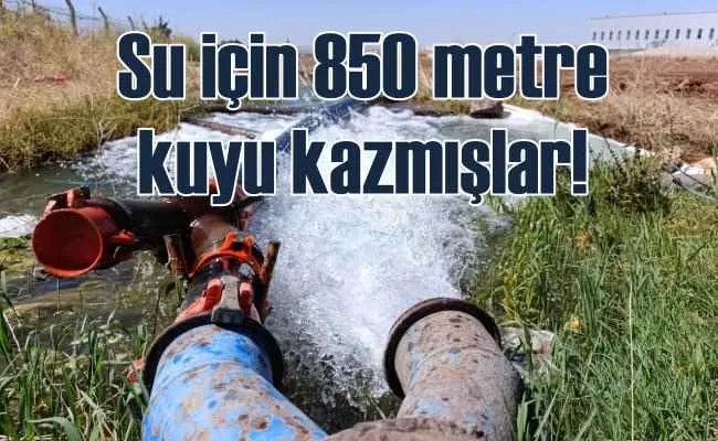 Mardin Ovası için korkutan uyarı bilim insanlarından geldi