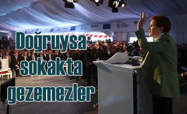 Akşener, Muhammed Yakut'un videosundan örnek verdi