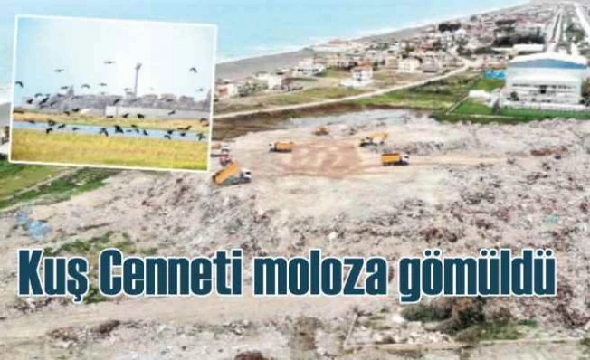 Deprem molozları kuş cennetine dökülüyor