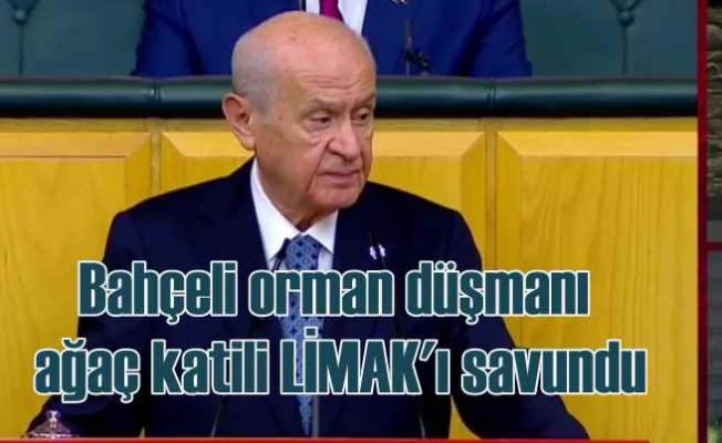 Devlet Bahçeli ormanı düşmanı LİMAK'ı savundu