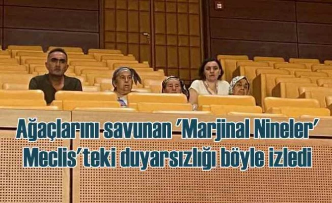 Türkiye'nin ağaçlarını savunmak 'Marjinal Ninelere' kaldı